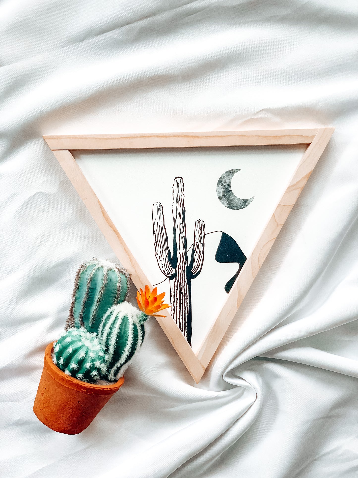 Saguaro | Boho Southwest Triangle Sign