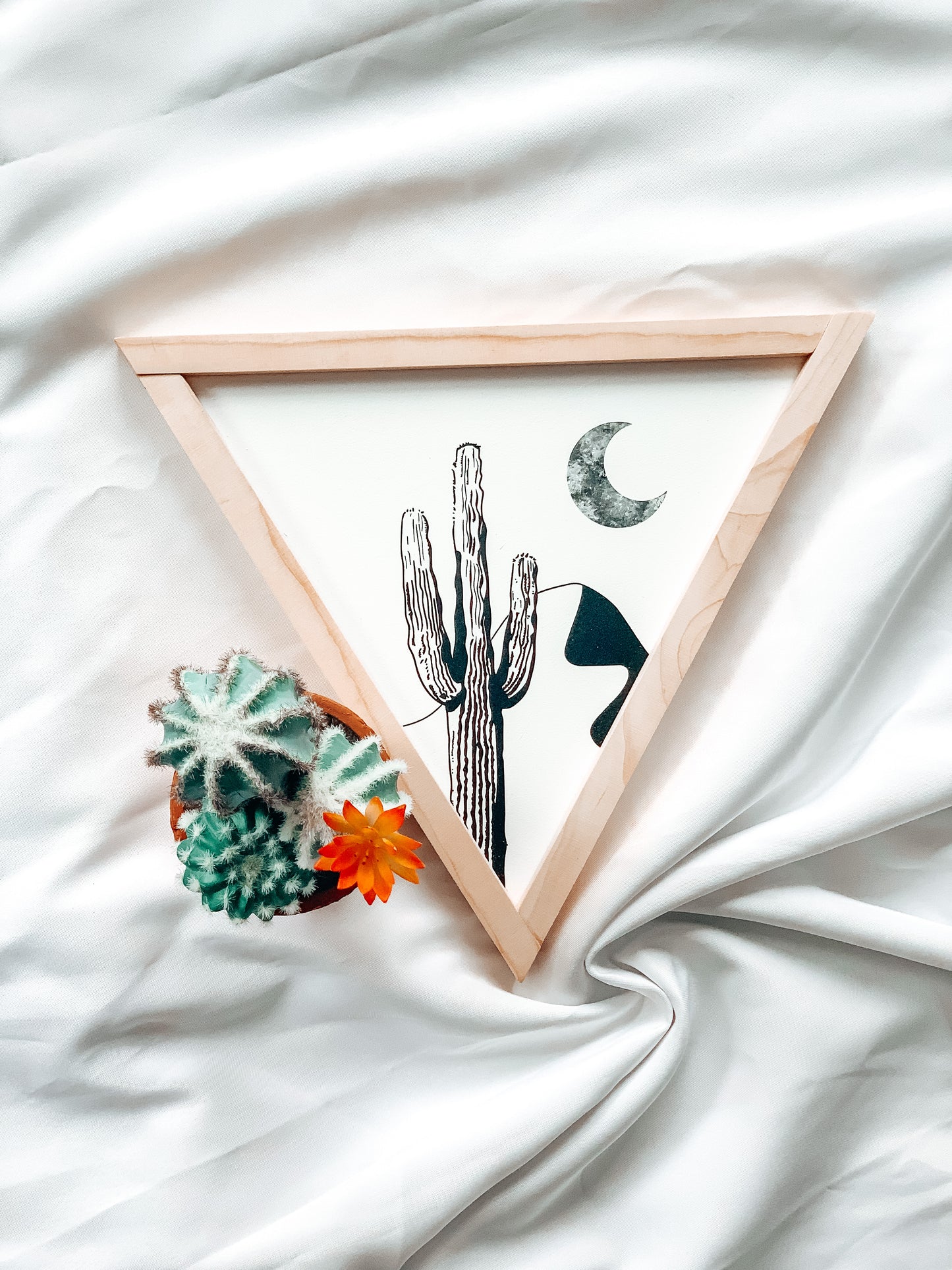 Saguaro | Boho Southwest Triangle Sign