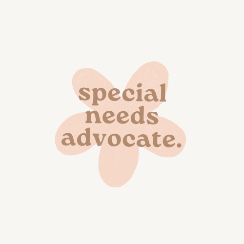 special needs advocate.